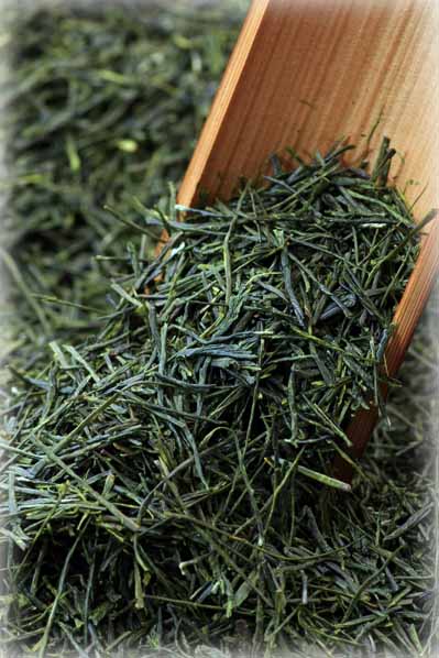 shincha1.jpg