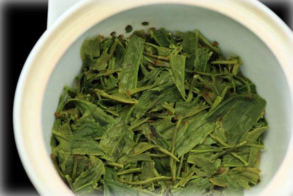 shincha2.jpg