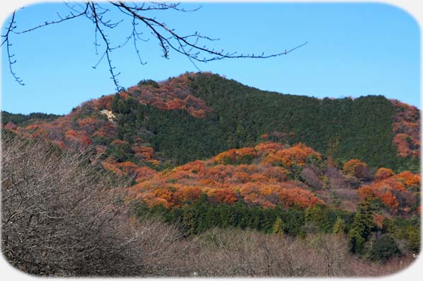 初冬の日和田山.jpg